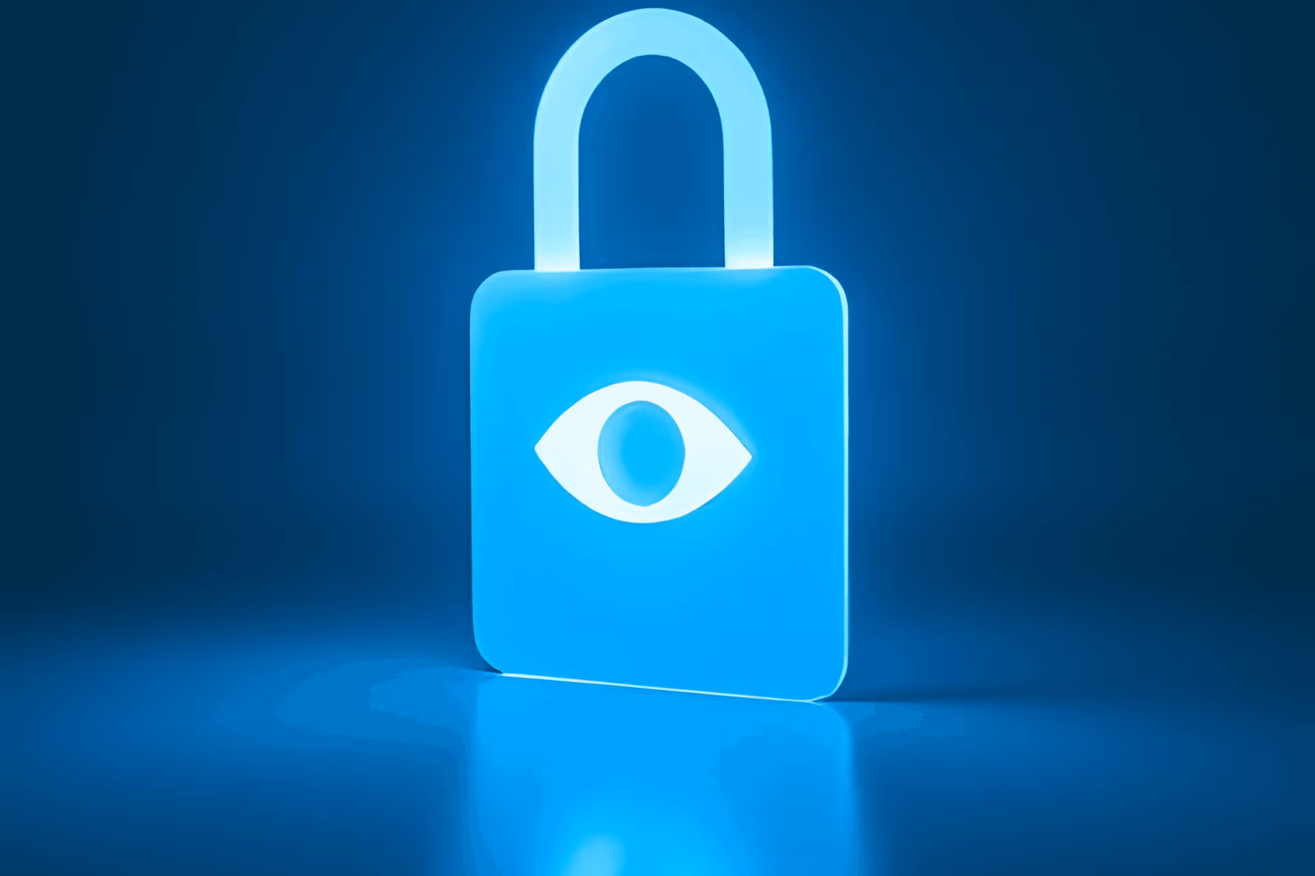 OnlyFans creator viewing a subscriber profile with the email address hidden